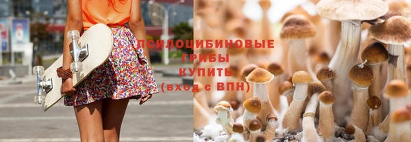 дживик Алексин