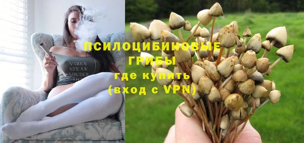 дживик Алексин