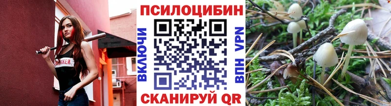 Псилоцибиновые грибы мухоморы  Приозерск 